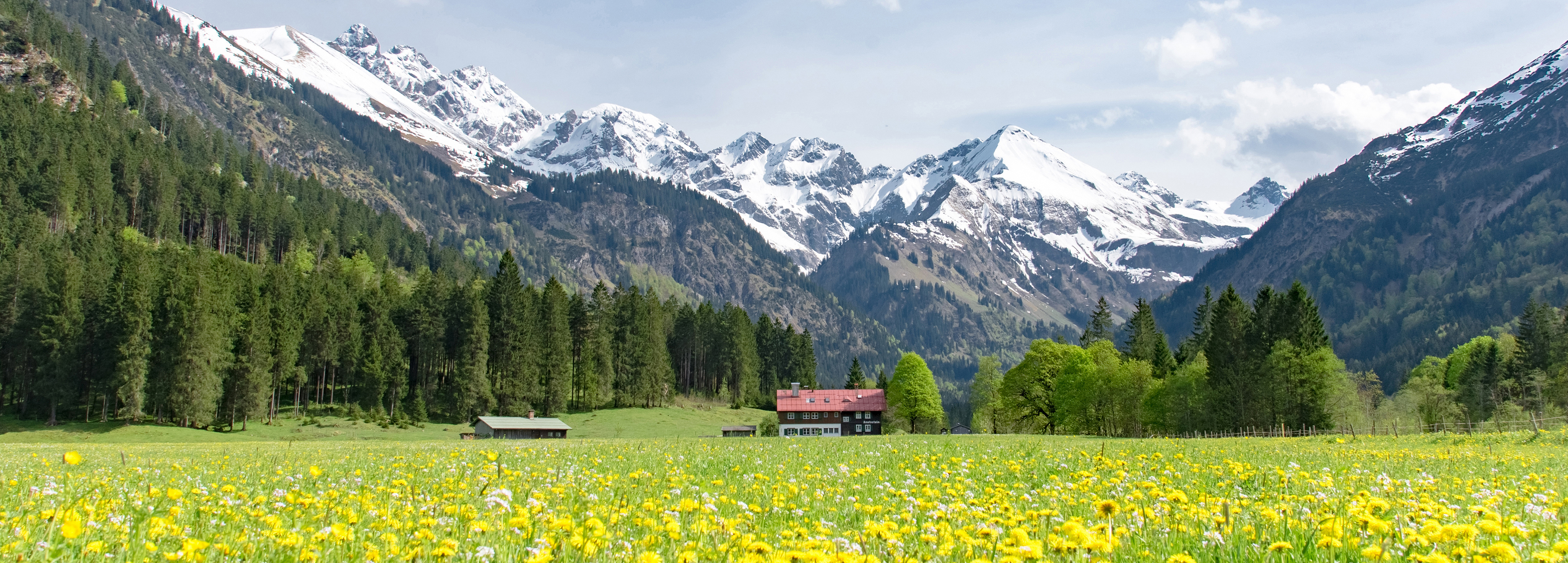 Bergwelt Panorama